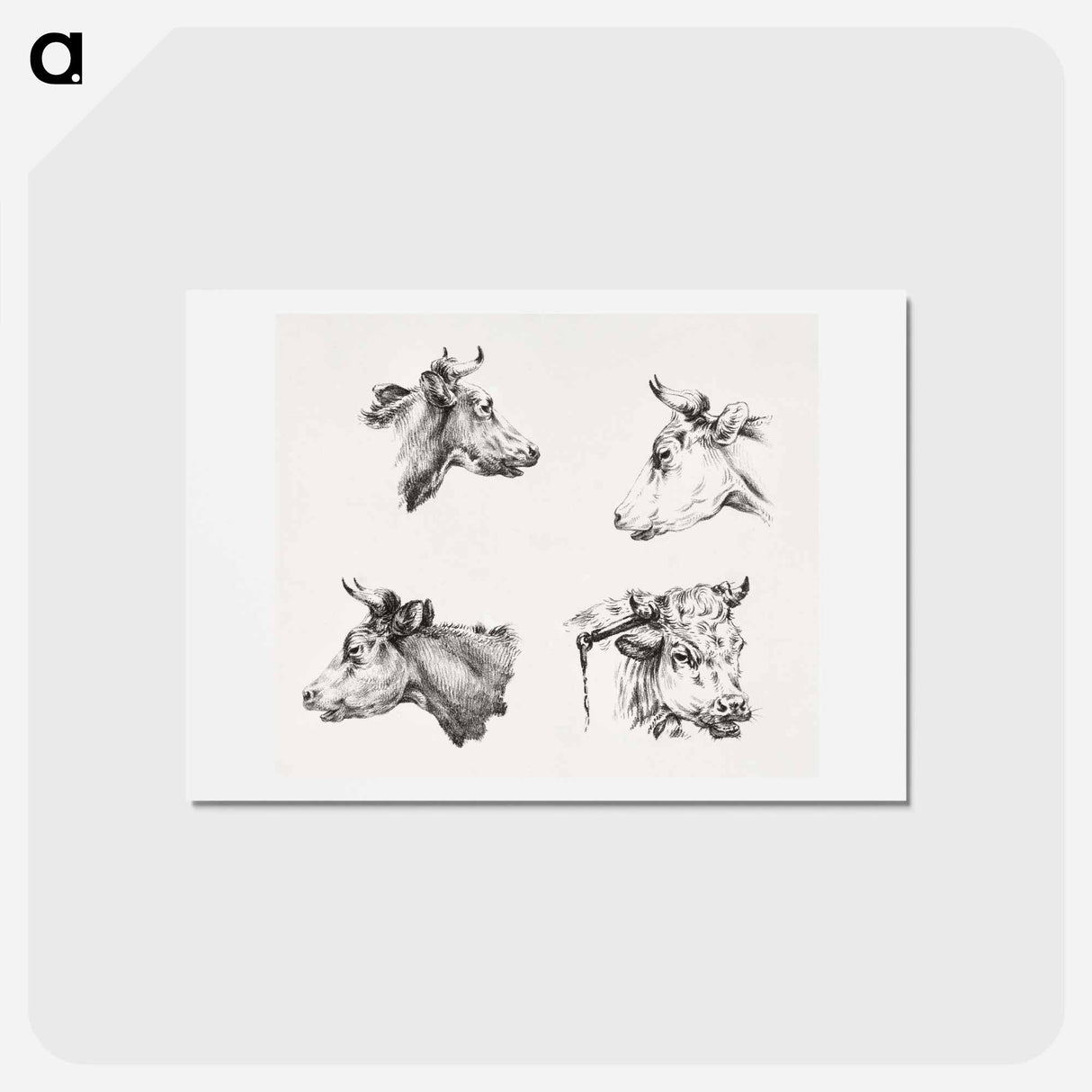 アートポストカード-Four bull heads - ジャン ベルナール Postcard.