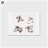アートポストカード-Four bull heads - ジャン ベルナール Postcard.