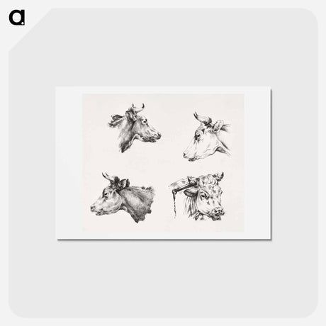 アートポストカード-Four bull heads - ジャン ベルナール Postcard.