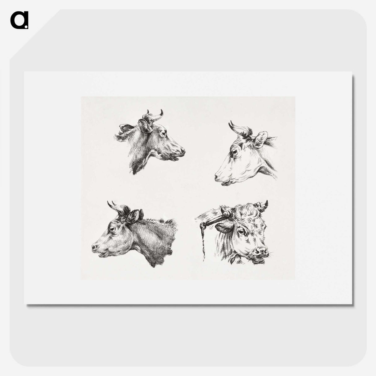 2-19_Jean-Bernard_picture