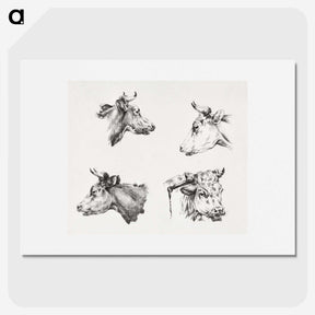 2-19_Jean-Bernard_picture