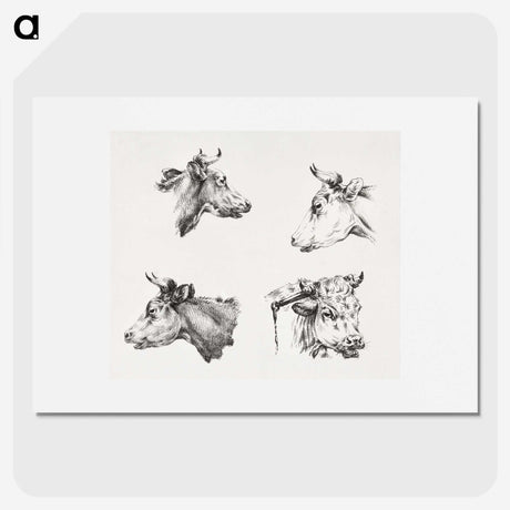 2-19_Jean-Bernard_picture