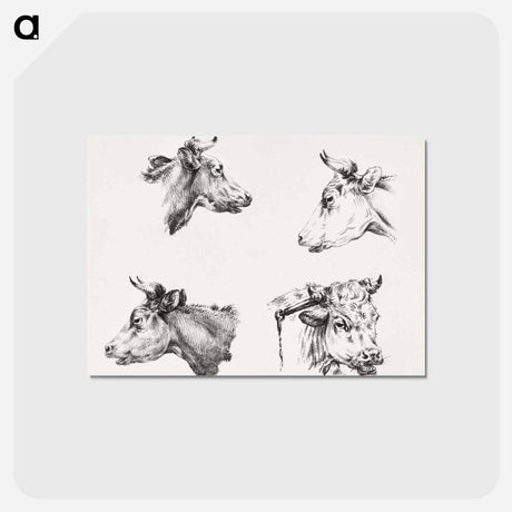 アートポストカード-Four bull heads - ジャン ベルナール Postcard.