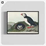 2-19_John-James-Audubon_blk-crop