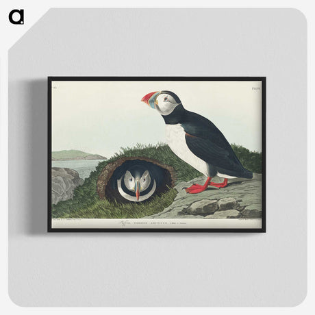 2-19_John-James-Audubon_blk-crop