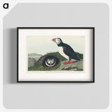 2-19_John-James-Audubon_blk