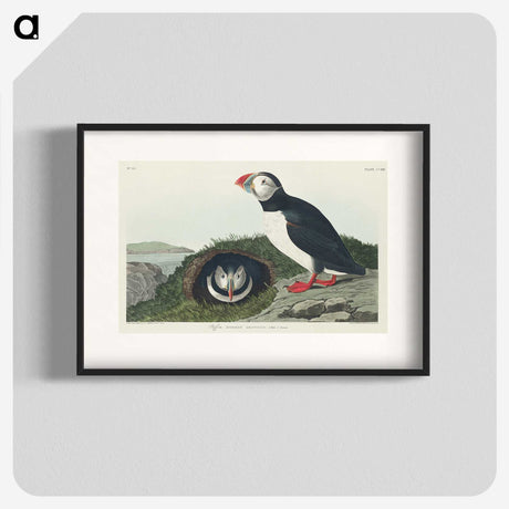 2-19_John-James-Audubon_blk