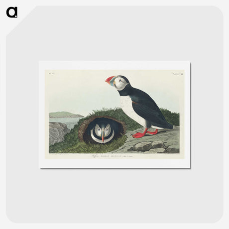 2-19_John-James-Audubon_hagaki