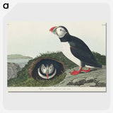 2-19_John-James-Audubon_picture-crop
