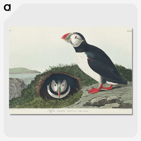 2-19_John-James-Audubon_picture-crop