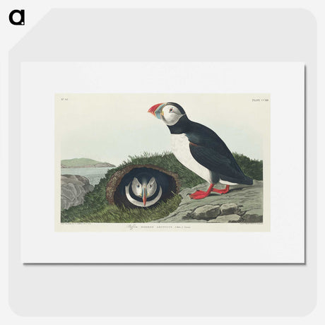 2-19_John-James-Audubon_picture