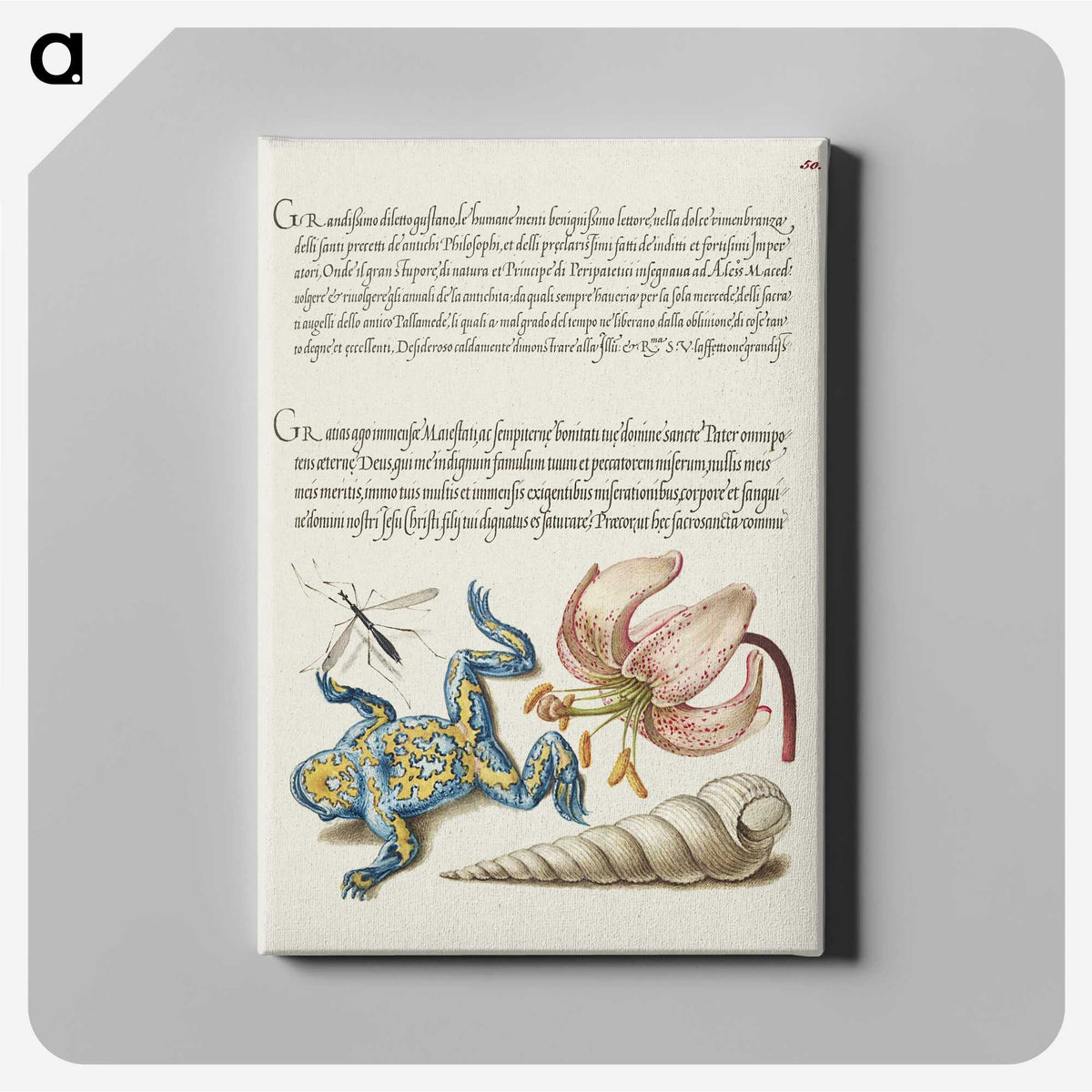 2-19_Joris-Hoefnagel_canvas