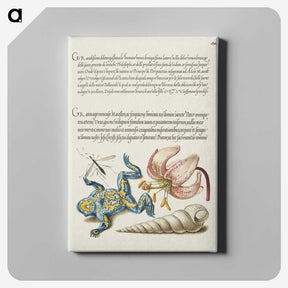 2-19_Joris-Hoefnagel_canvas