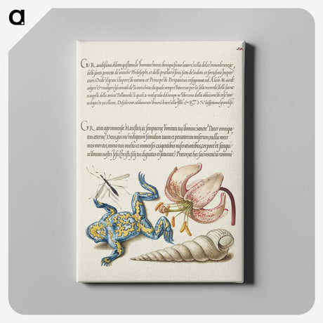 2-19_Joris-Hoefnagel_canvas