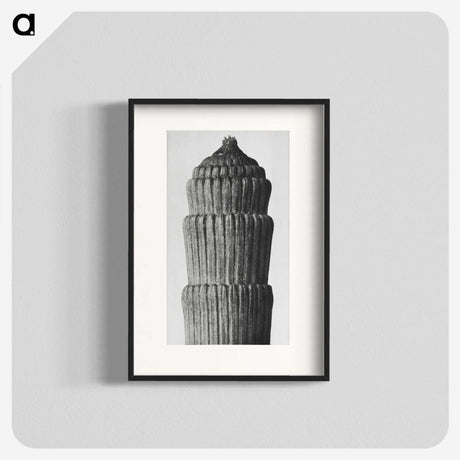 2-19_Karl-Blossfeldt_blk