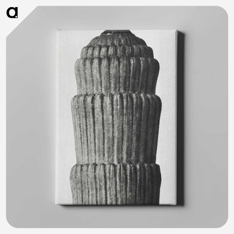 2-19_Karl-Blossfeldt_canvas