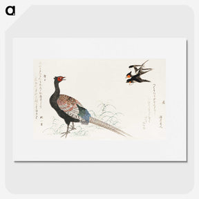 2-19_Kitagawa-Utamaro_picture