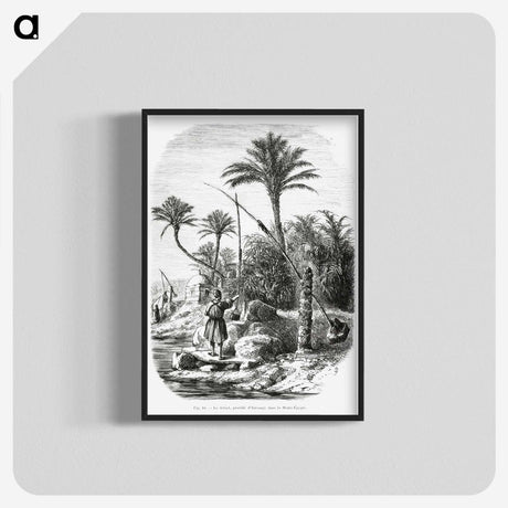 2-19_Les-Palmiers-Histoire-Iconographique_blk-crop
