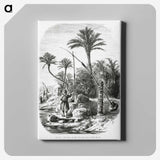 2-19_Les-Palmiers-Histoire-Iconographique_canvas