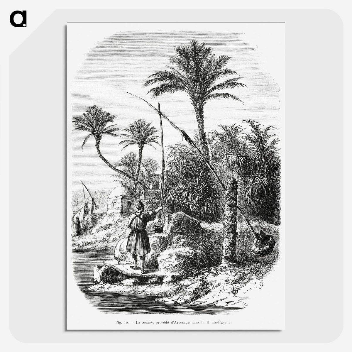 2-19_Les-Palmiers-Histoire-Iconographique_picture-crop