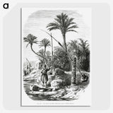 2-19_Les-Palmiers-Histoire-Iconographique_picture-crop