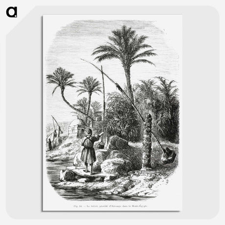 2-19_Les-Palmiers-Histoire-Iconographique_picture-crop