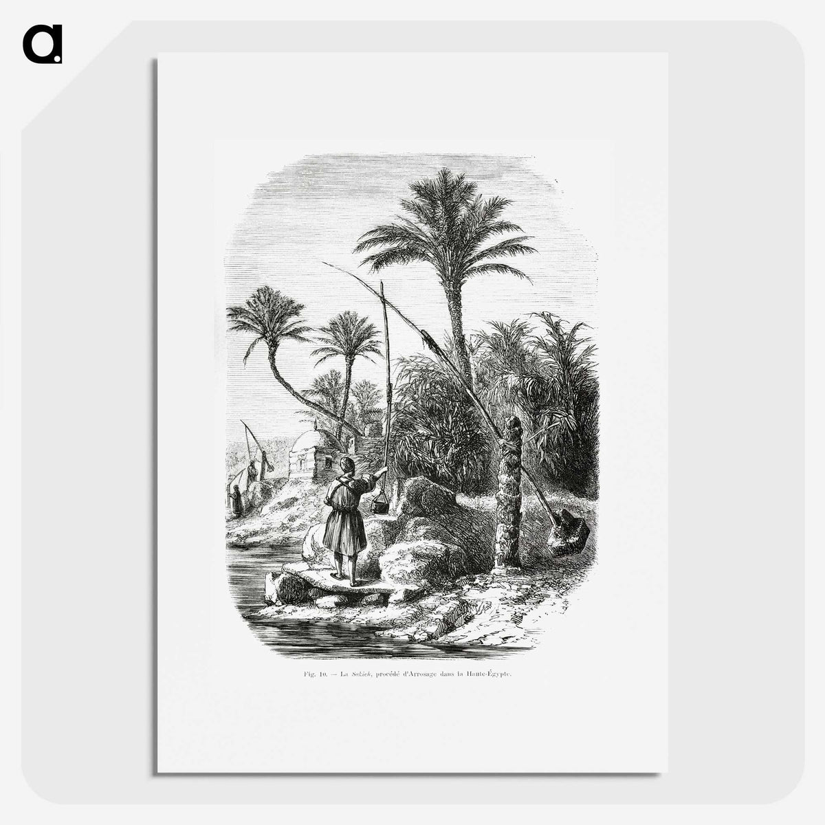 2-19_Les-Palmiers-Histoire-Iconographique_picture