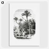 2-19_Les-Palmiers-Histoire-Iconographique_picture