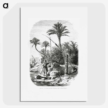 2-19_Les-Palmiers-Histoire-Iconographique_picture