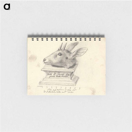 アートメモ帳-Testa di Fecco
 - ルイージ バルガーニ Memo.