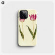 2-19_Maria-Sibylla-Merian_phone