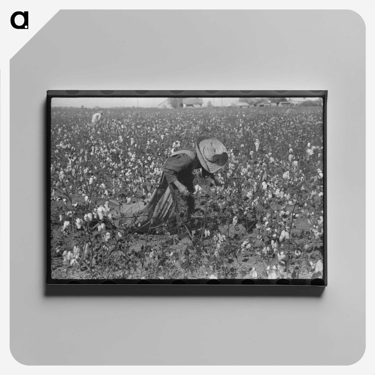 2-19_Marion-Post-Wolcott_canvas