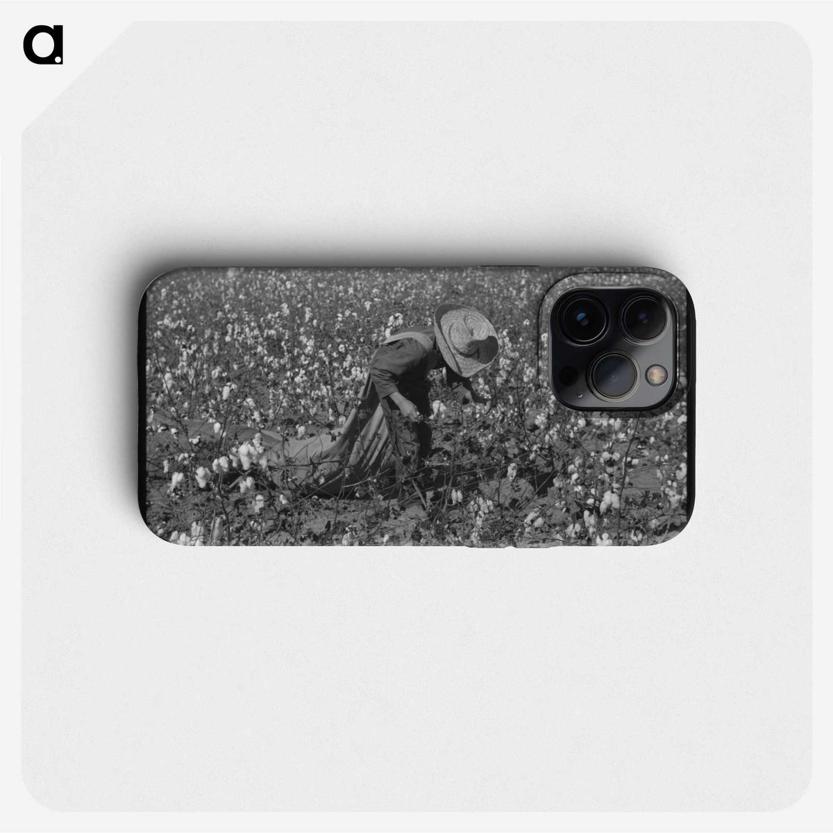 2-19_Marion-Post-Wolcott_phone