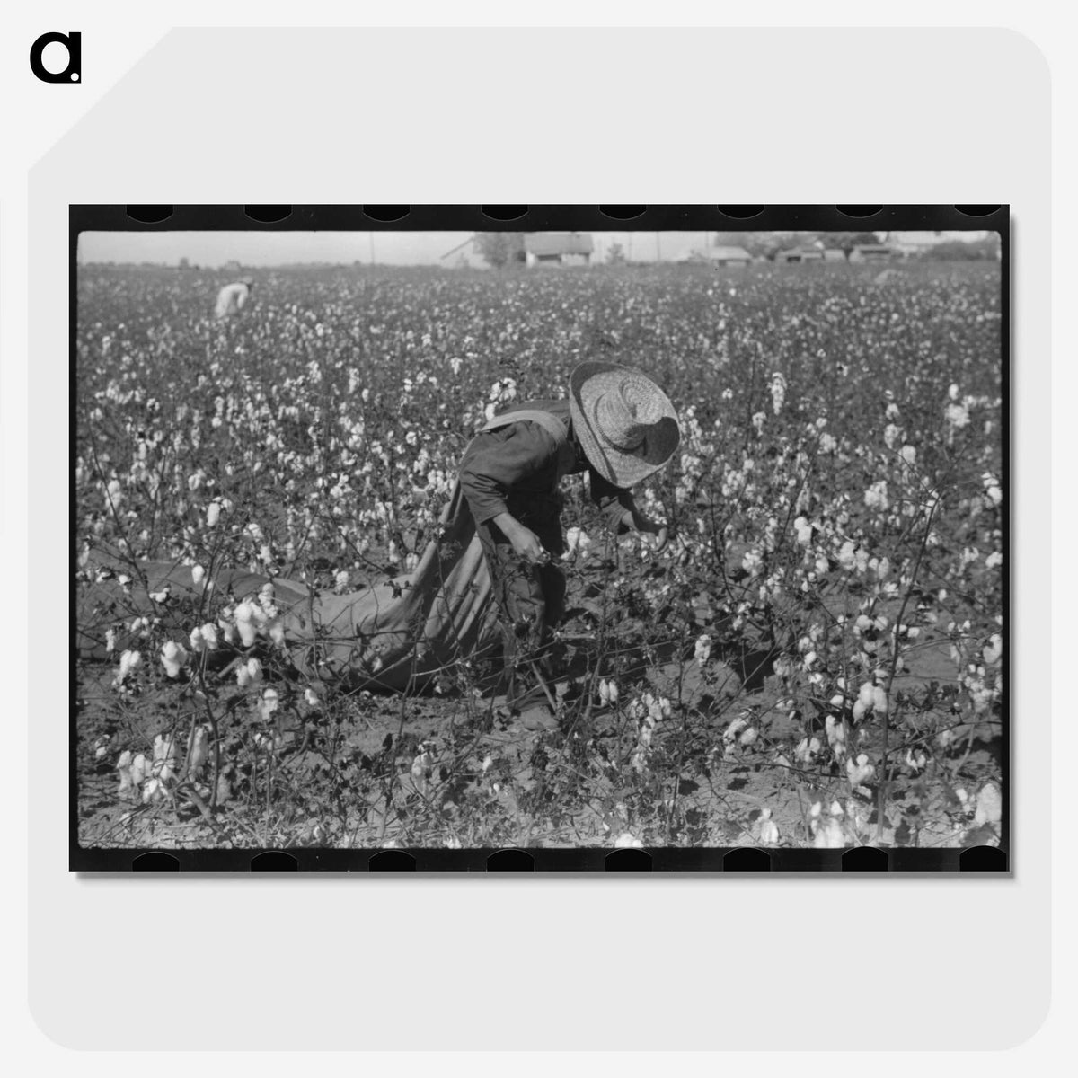 2-19_Marion-Post-Wolcott_picture-crop