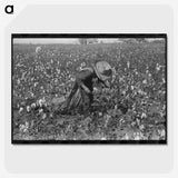 2-19_Marion-Post-Wolcott_picture-crop