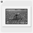 2-19_Marion-Post-Wolcott_picture