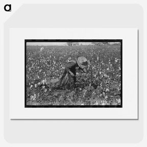 2-19_Marion-Post-Wolcott_picture