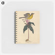 アートメモ帳-The Yellow-breasted Chat
 - マーク ケイツビー Memo.