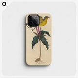 2-19_Mark-Catesby_phone