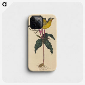2-19_Mark-Catesby_phone