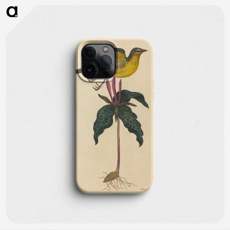2-19_Mark-Catesby_phone