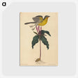 2-19_Mark-Catesby_postcard