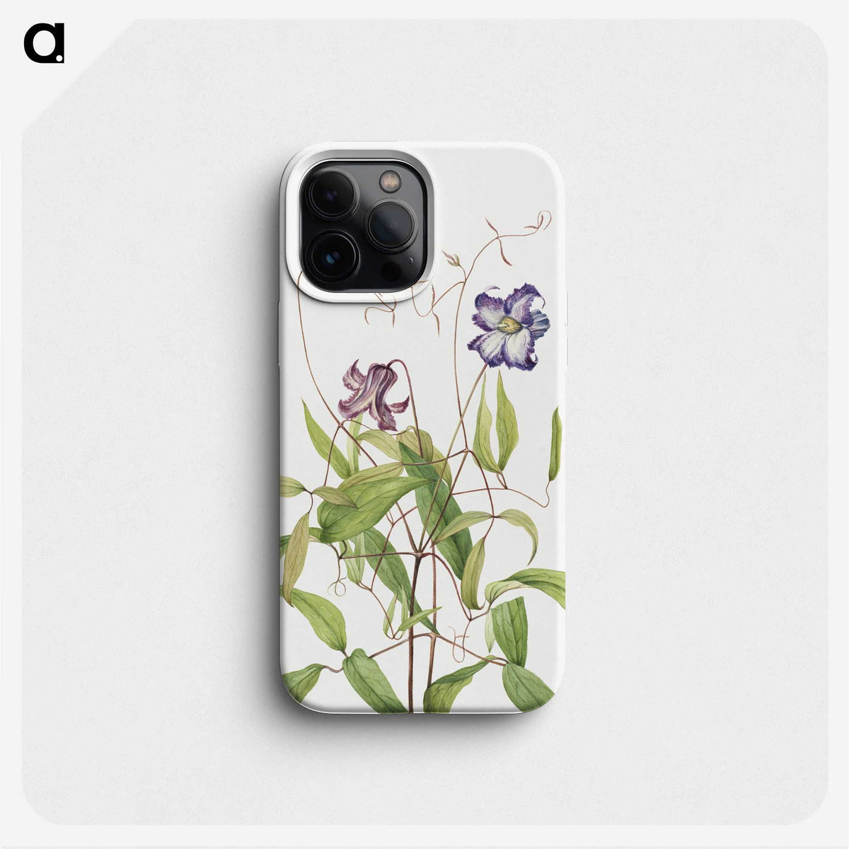 2-19_Mary-Vaux-Walcott_phone