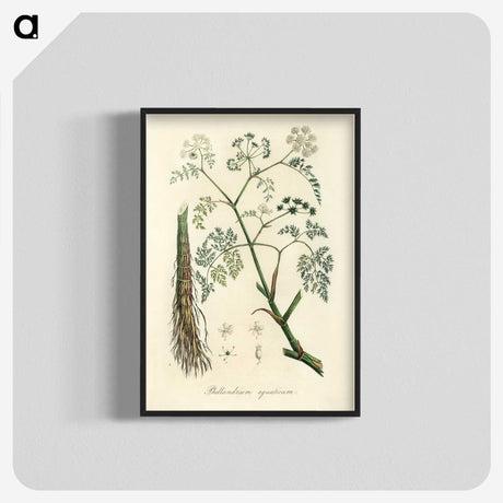 2-19_Medical-Botany_blk-crop