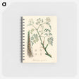 アートメモ帳-Phellandrium aguaticum Illustration
 - 薬用植物学 Memo.