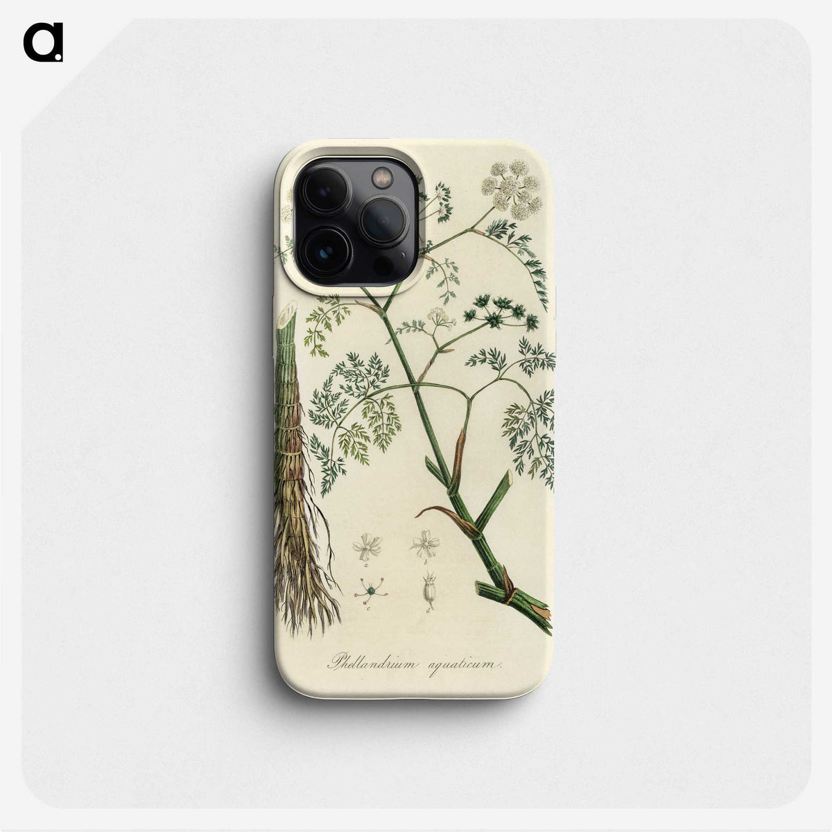 2-19_Medical-Botany_phone
