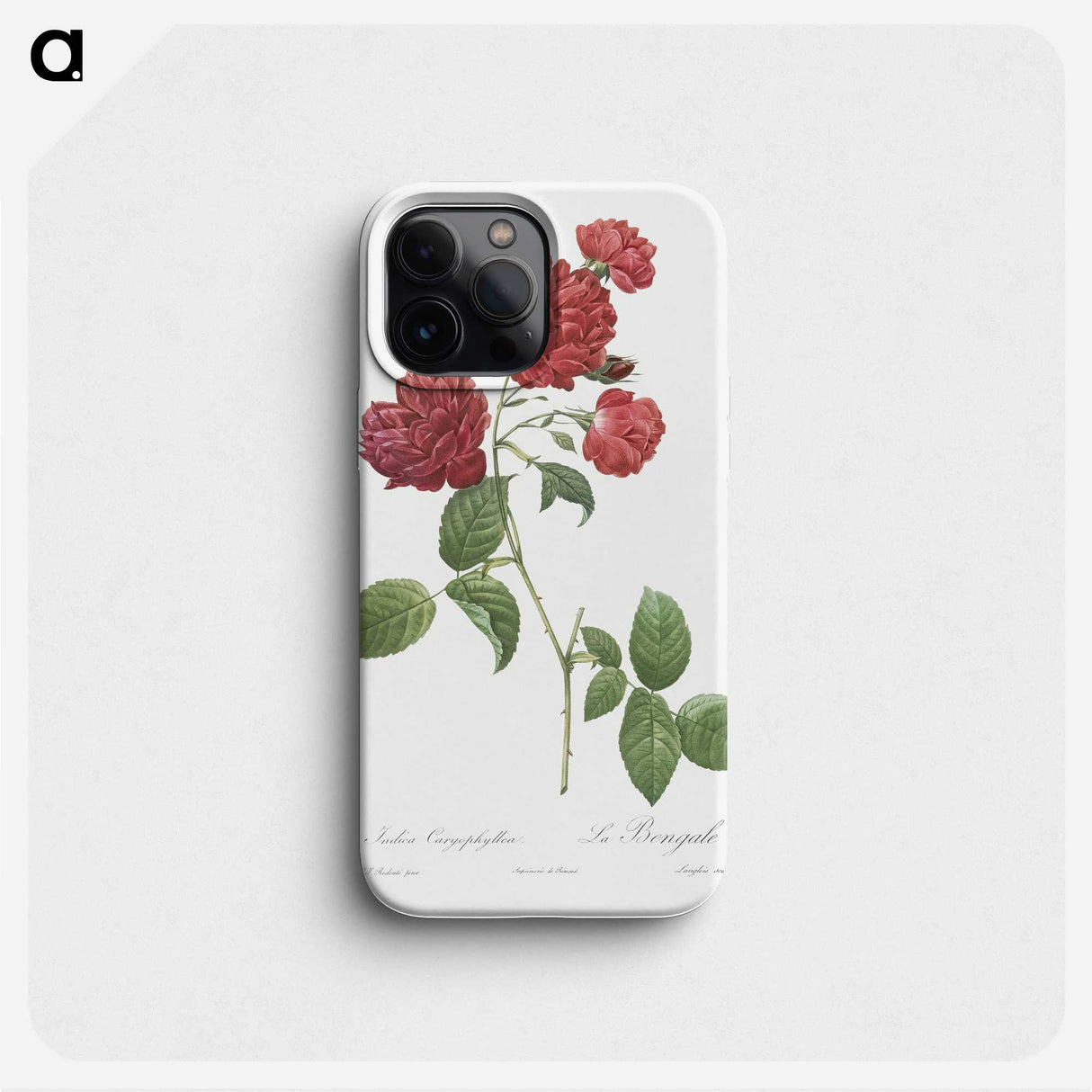2-19_Pierre-Joseph-Redoute_phone