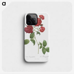 2-19_Pierre-Joseph-Redoute_phone