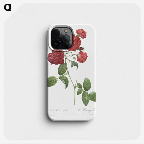 2-19_Pierre-Joseph-Redoute_phone