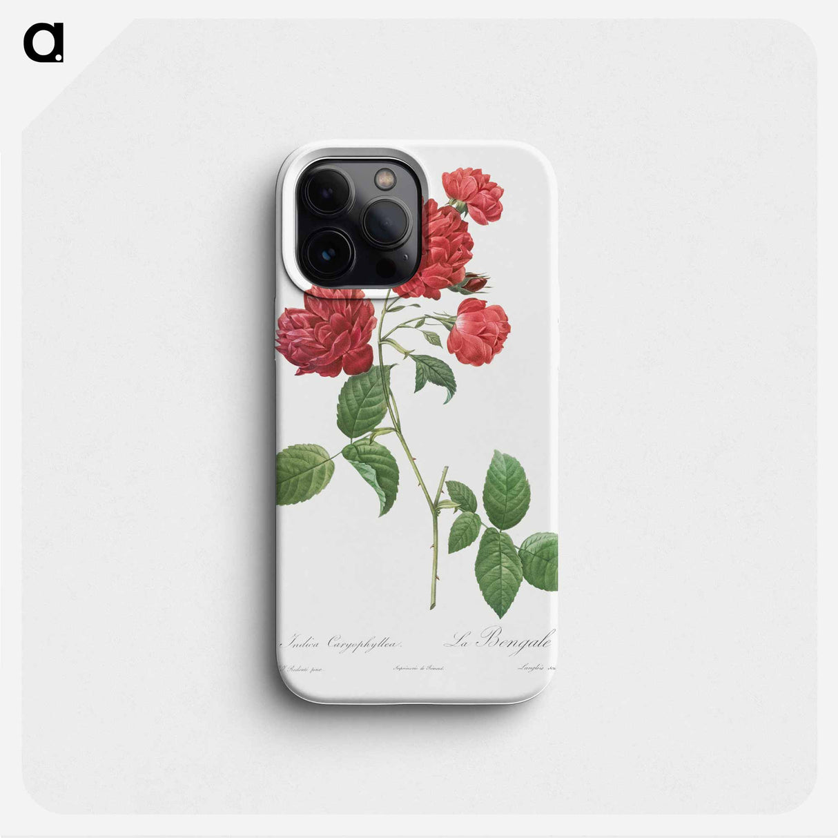 Red Cabbage Rose - ピエール ジョゼフ ルドゥーテ Phone Case.